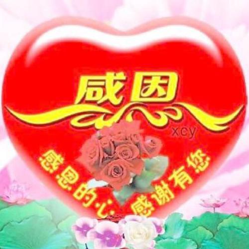 年度会议感恩行情