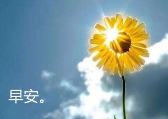 2020年朋友的励志短片