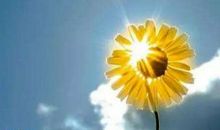 2020年简短励志发朋友圈句子