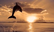 甜蜜的表白句子