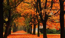 赞美祖国的经典句子