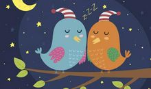 2020全新的晚安句子