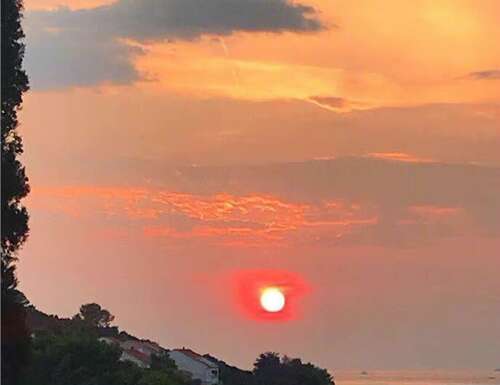 与牛有关的祝福