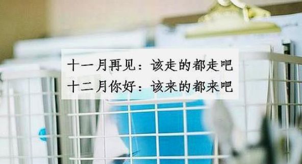 再见11月12月你好聊天图片2