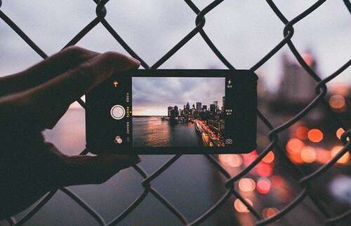 牛年的新年祝福