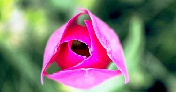 开心快乐幽默句子2