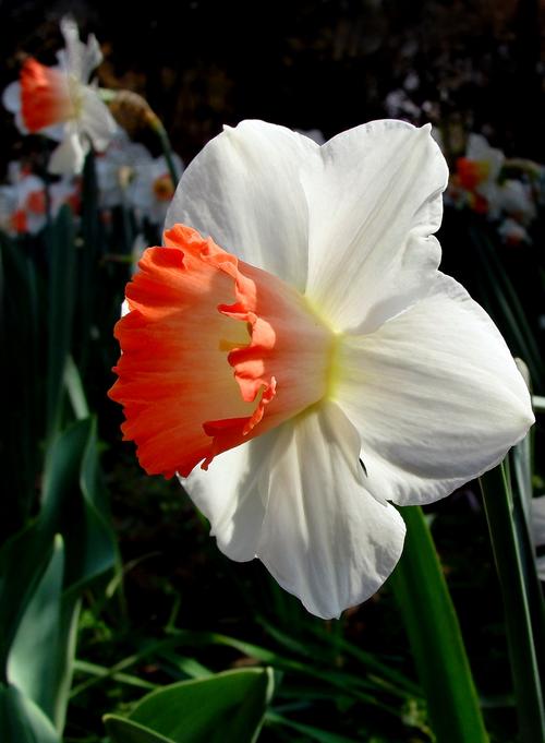 开心快乐幽默句子1