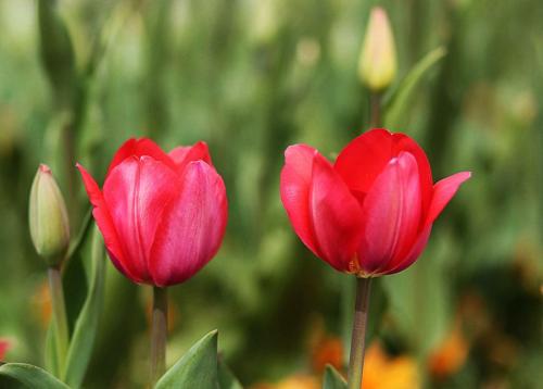 开心快乐幽默的句子