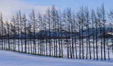 冬季的旅游心情说说