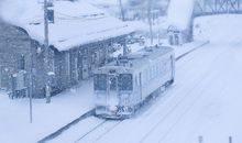 形容牛的励志句子