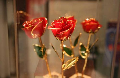 我希望生活幸福2