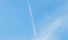 赞美牛勤劳朴实的诗句