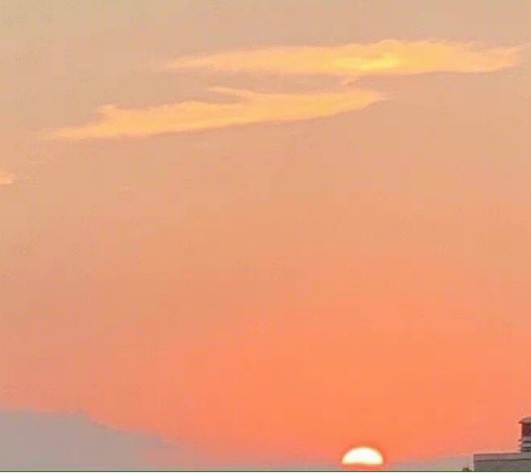 形容母牛的好句子