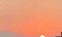 描写牛的好句子