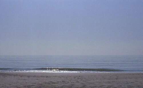 牛年新年祝​​福语