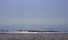 牛年新春祝福成语