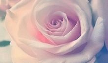 逗你开心的句子