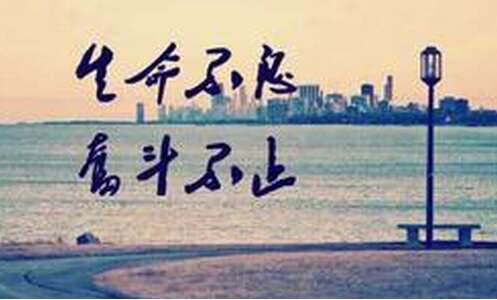 不断为梦想而努力的句子