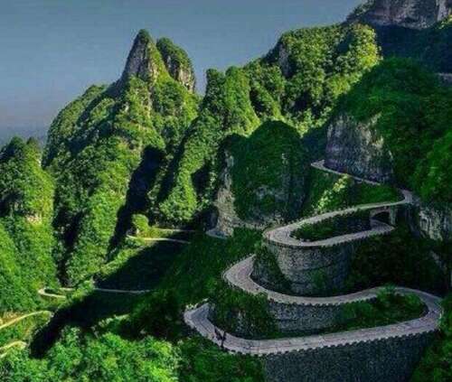 公牛头祝福集合1