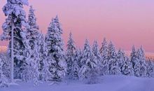 这个冬天有点冷的说说