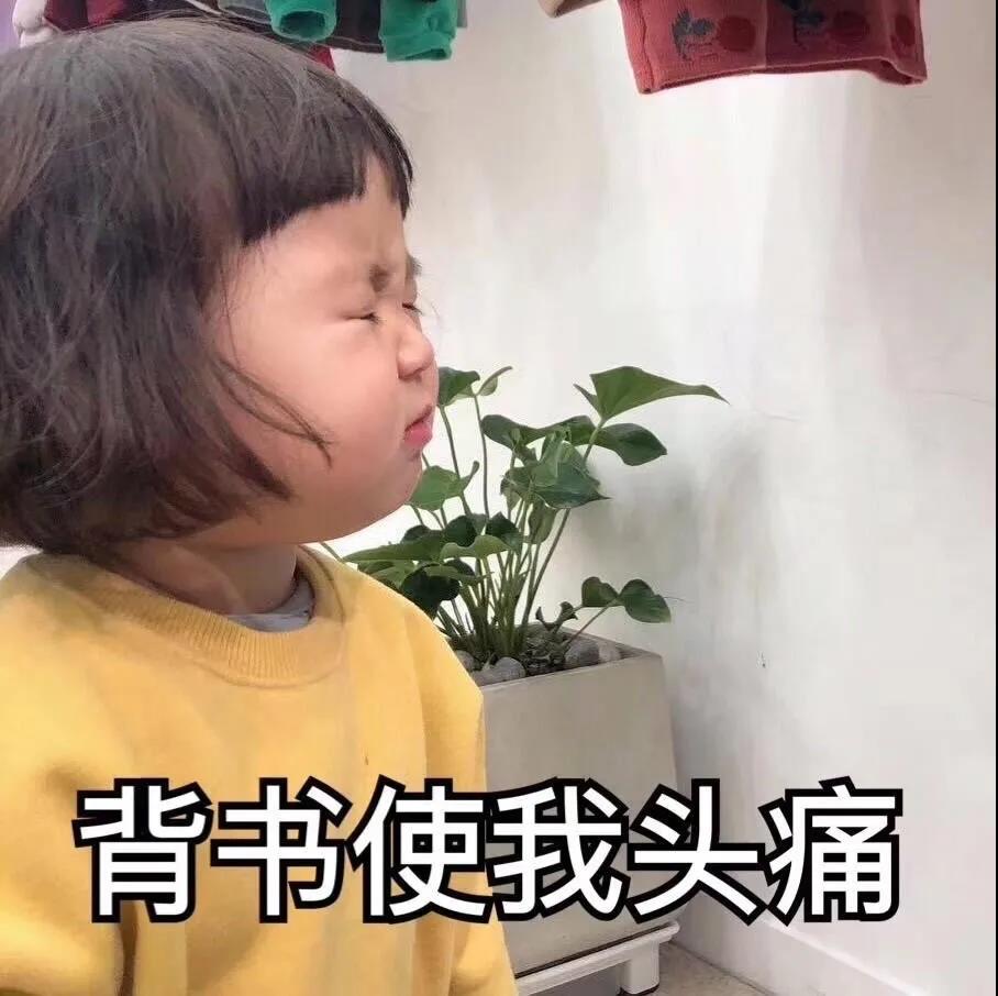 沙雕文案考试前复习