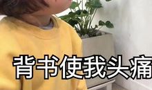 考前复习的沙雕文案