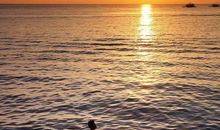 游泳开心的句子