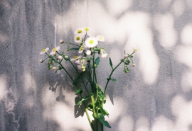 简单而快乐的句子