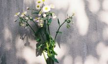 简单活着开心的句子