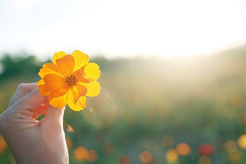 简单的快乐句子