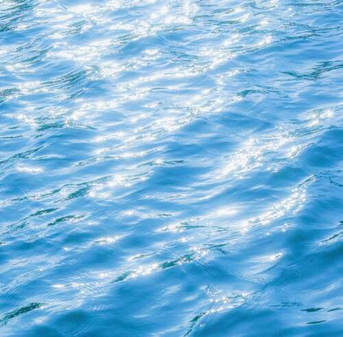 关于牛句子的经典语录