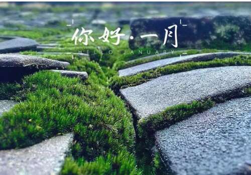 再见12月1月你好励志语录大全