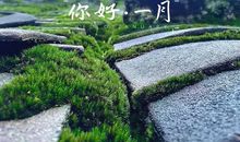 十二月再见一月你好励志说说语录大全