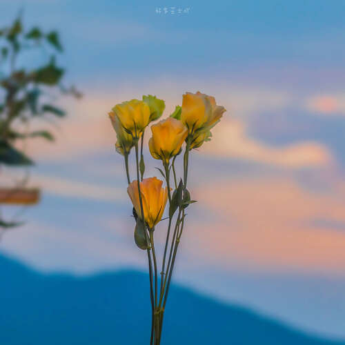 高中生漂亮的句子