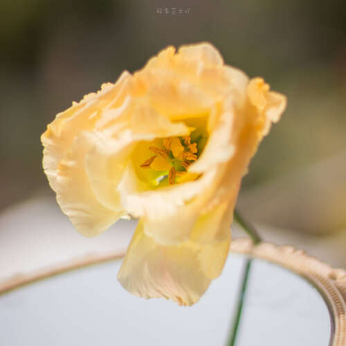 高中生漂亮的句子1