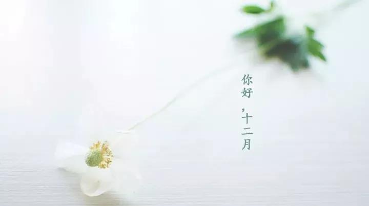 告诉我你十二月的朋友圈