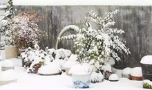 十二月你好简短说说