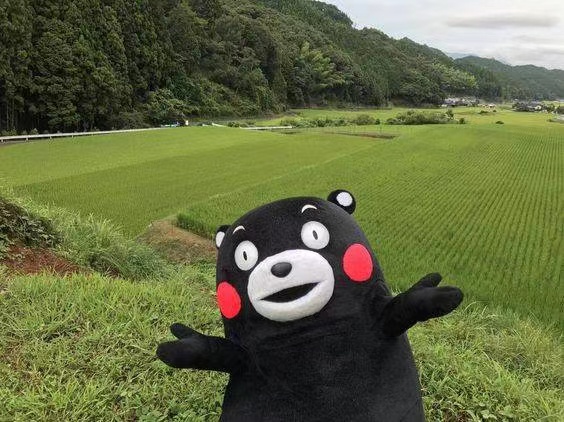 美丽的励志短语