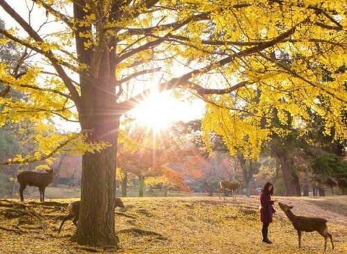 快乐的哥哥和妹妹