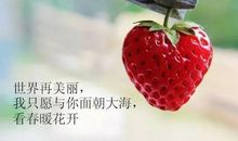 致自己往后余生的句子