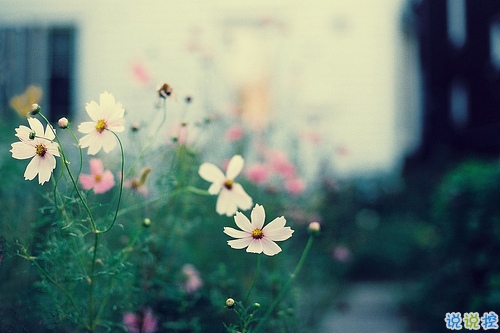 谈论朋友的周到圈子