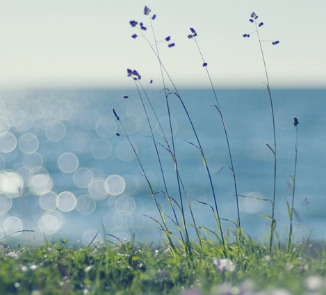 夏季向客户发送短信