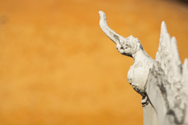 发送句子文案，以在朋友圈中赞美您的妻子2