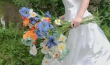 适合朋友圈的佛系句子