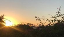 关于舞蹈开心的句子