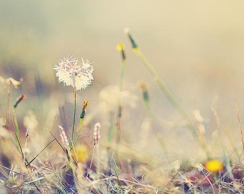 最初我喜欢的情感报价心痛句子