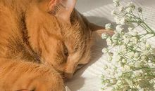 最毒鸡汤经典语录