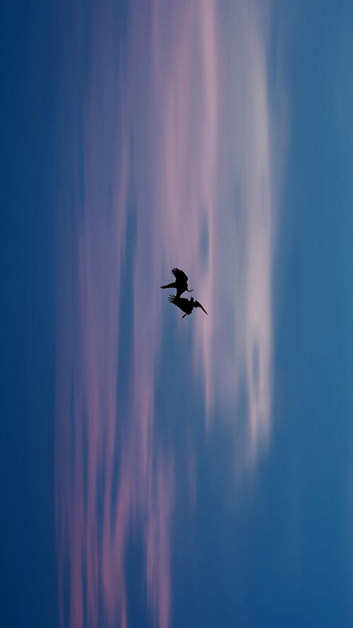 购买护肤品心痛的句子1