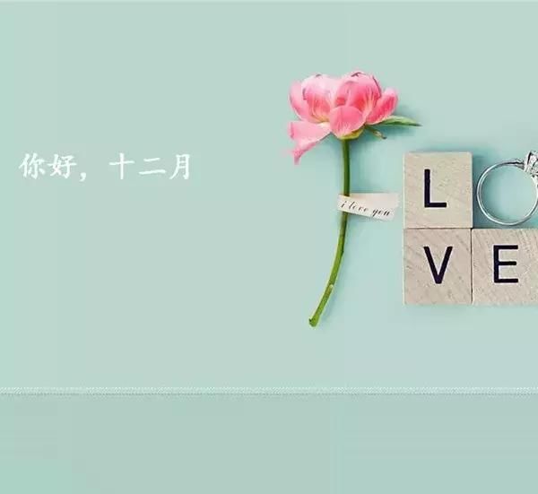十二月你好美丽的文字