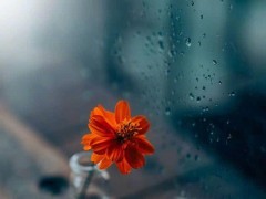 让前男友读心痛和霸气的句子